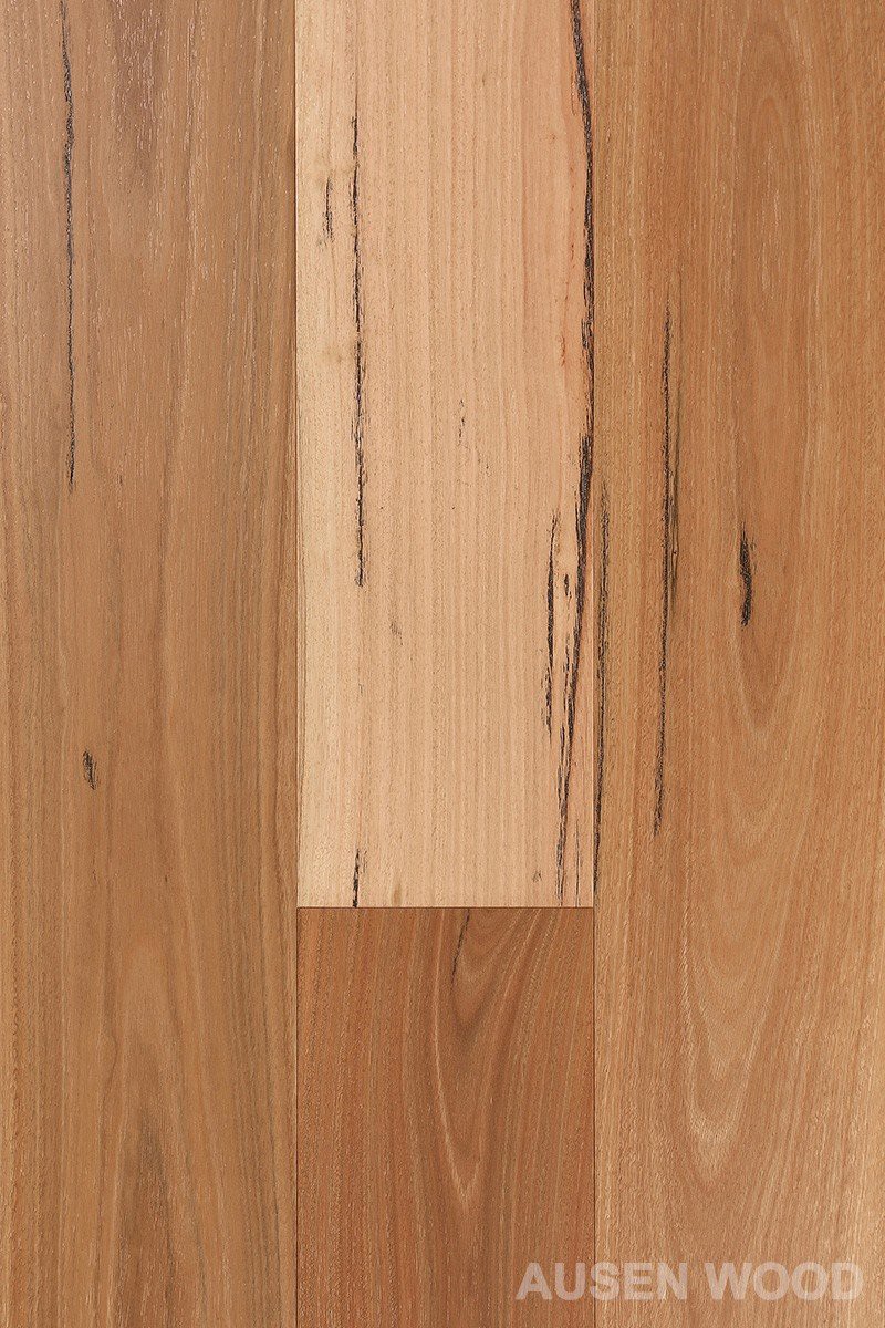 Daintree-Brushed Spotted Gum Plank