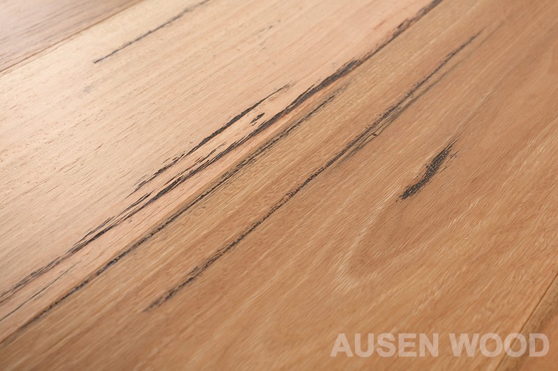 Daintree-Brushed Spotted Gum Plank suppliers