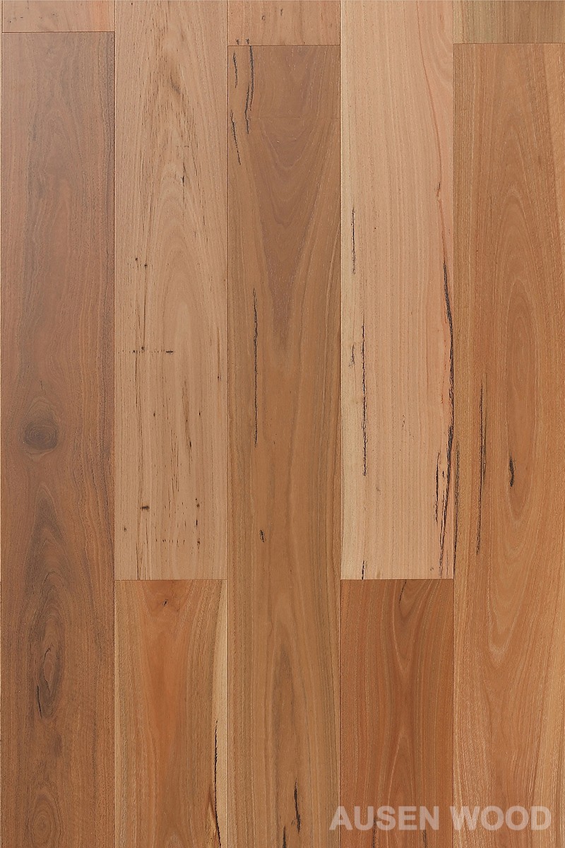 Daintree-Brushed Spotted Gum Plank best
