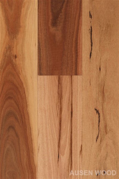 Daintree-Plattfläckig gummiplanka